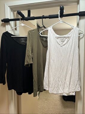 Chico's The Ultimate Tee size 2 V-Neck Top set